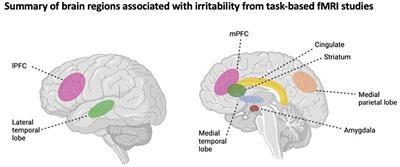 Keeping up with the kids: the value of co-production in the study of irritability in youth depression and its underlying neural circuitry